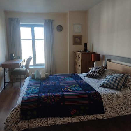 Swallows Nest - Spacious Bright Double Bedroom With Ensuite Bathroom Dublin Exteriör bild