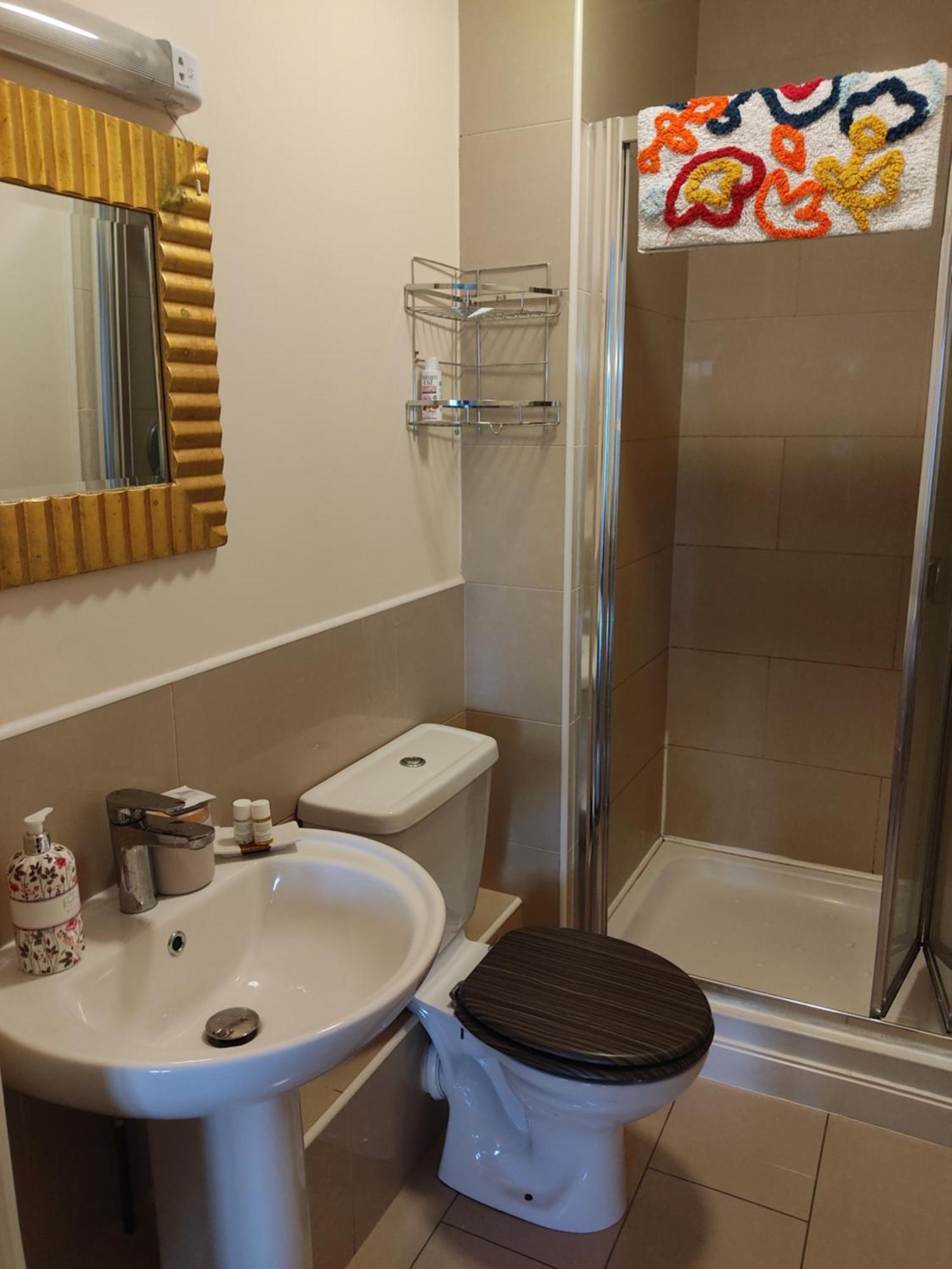 Swallows Nest - Spacious Bright Double Bedroom With Ensuite Bathroom Dublin Exteriör bild